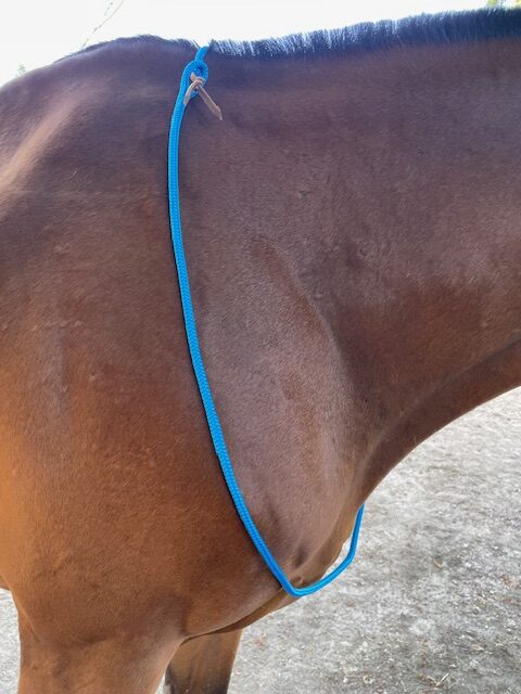 Unknown-2 Cordelette éthologique fine modèle Seren Elodog