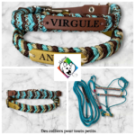 Collier NAERYN pour mini chien